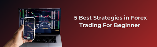 5 best strategies in forex trading for beginners